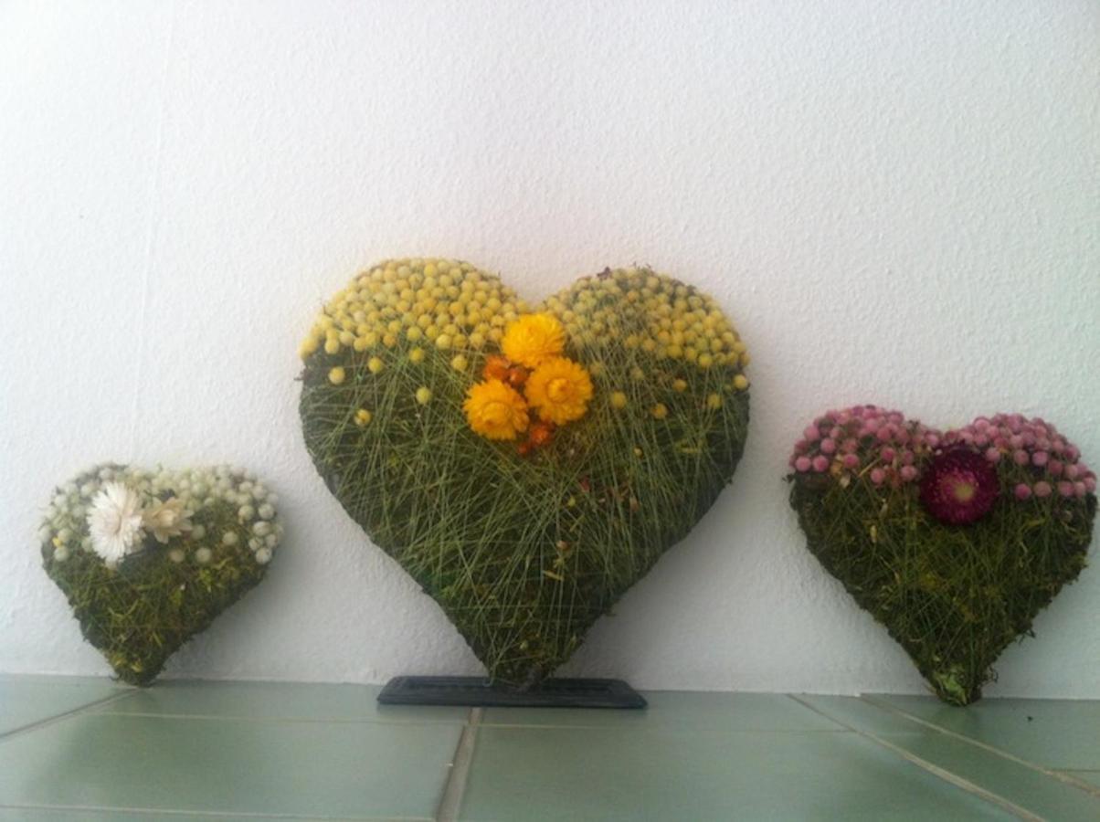 Pension Und Apartment Edelweiss ไฮลิเกนบลูท ภายนอก รูปภาพ
