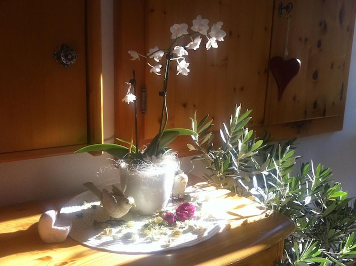 Pension Und Apartment Edelweiss ไฮลิเกนบลูท ภายนอก รูปภาพ